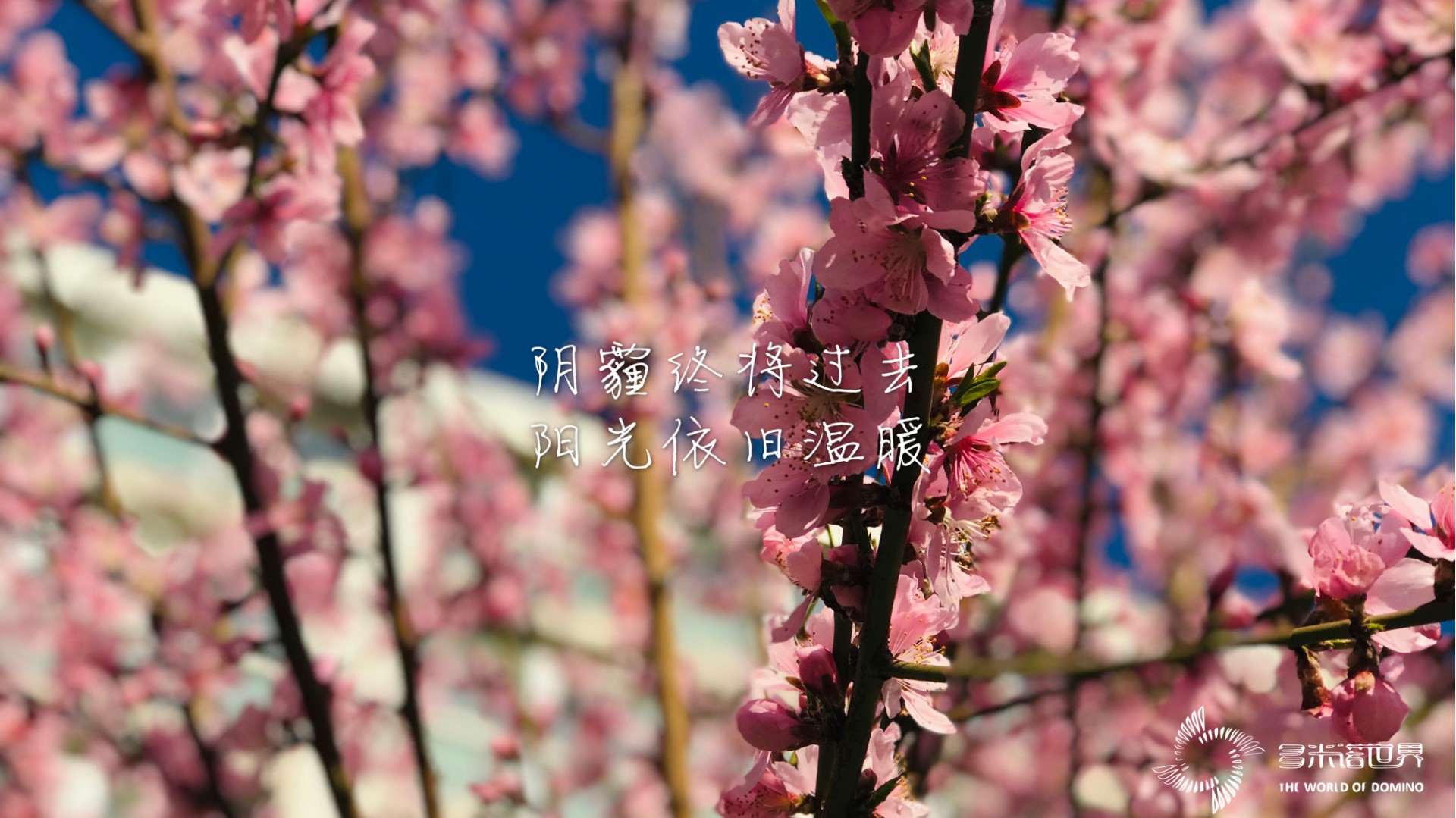 同心同力战疫必胜